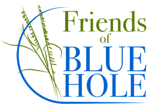 Friends-of-Blue-Hole-Logo-2019